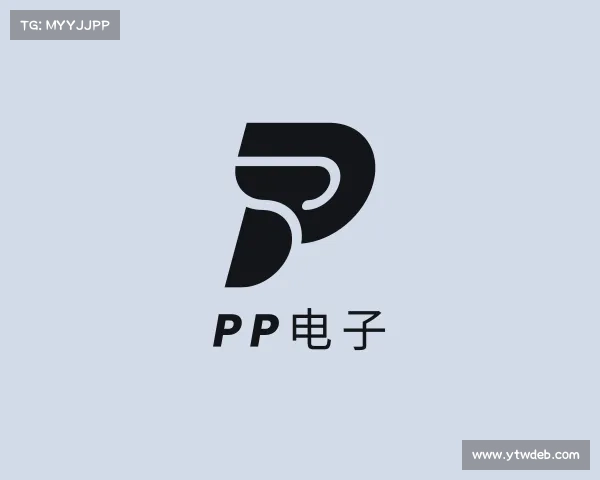 了解pp电子